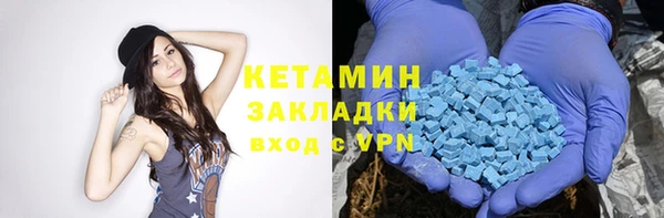 индика Алексин