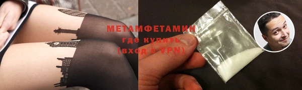 индика Алексин
