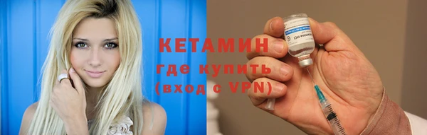индика Алексин