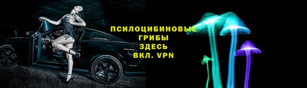 a pvp Алзамай