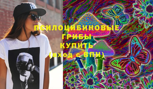 индика Алексин