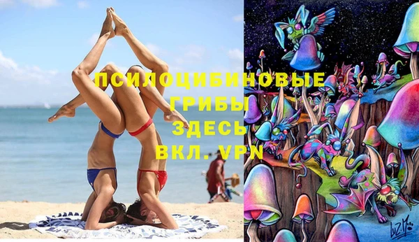 соль ск Пересвет