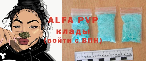 индика Алексин