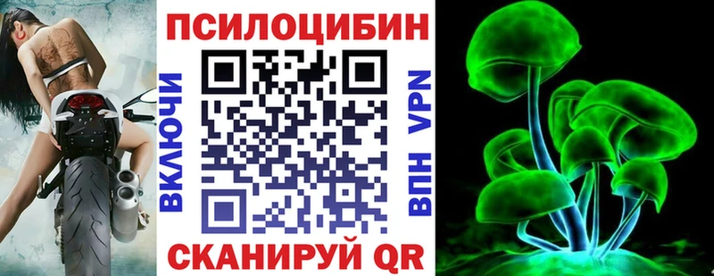Псилоцибиновые грибы Cubensis  Алексин 